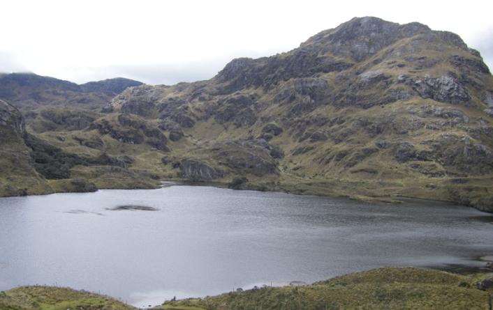 view-in-cajas