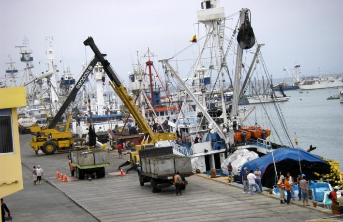 tuna-trucks
